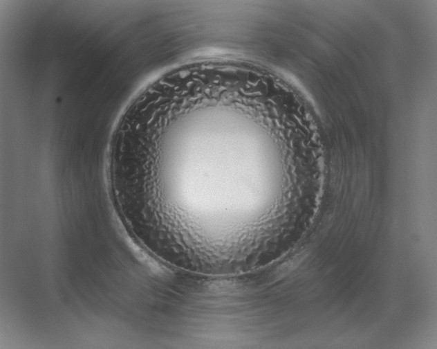 X0000071821421200606301241