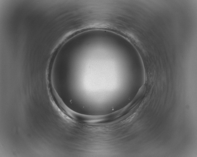 X0000071821422200606301241