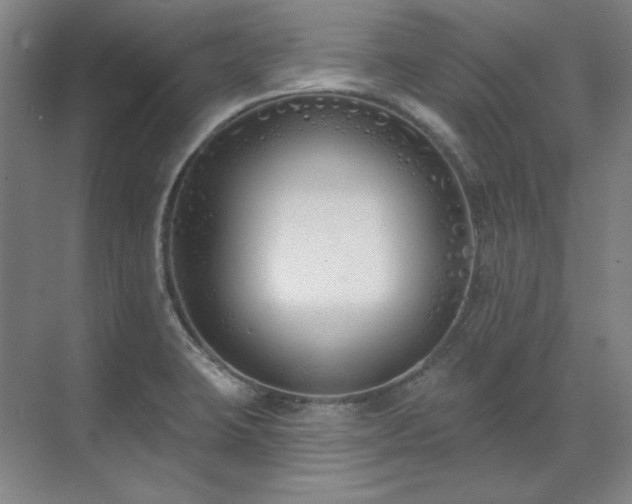 X0000071821423200606301241