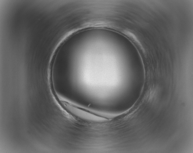 X0000071821424200606301241