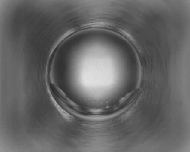 X0000071821426200606301241