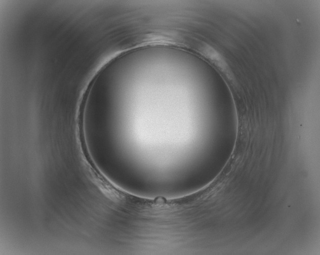 X0000071821427200606301241