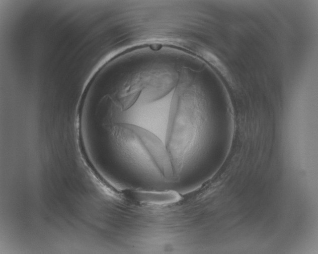 X0000071821428200606301241