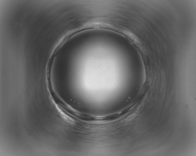 X0000071821430200606301241