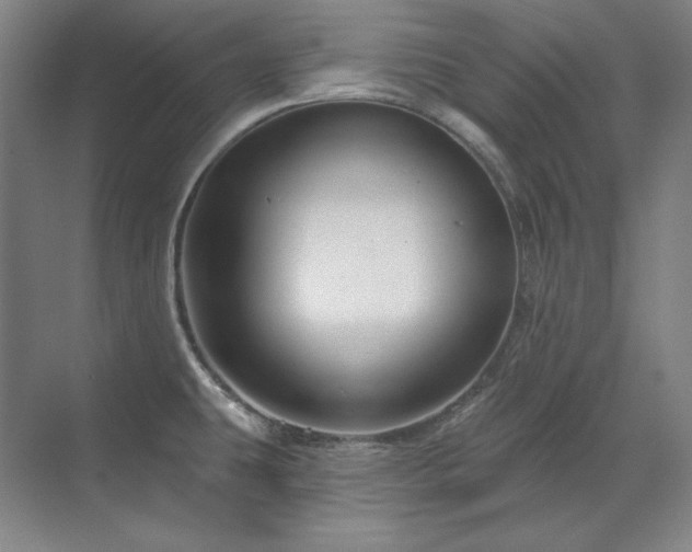X0000071821431200606301241