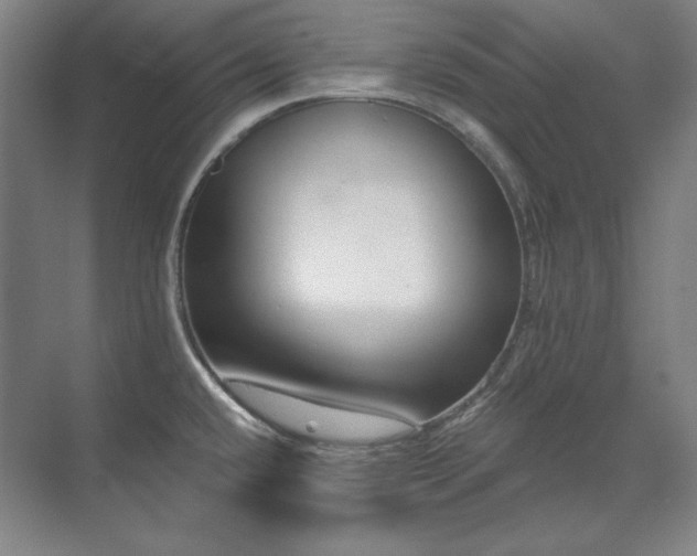 X0000071821432200606301241