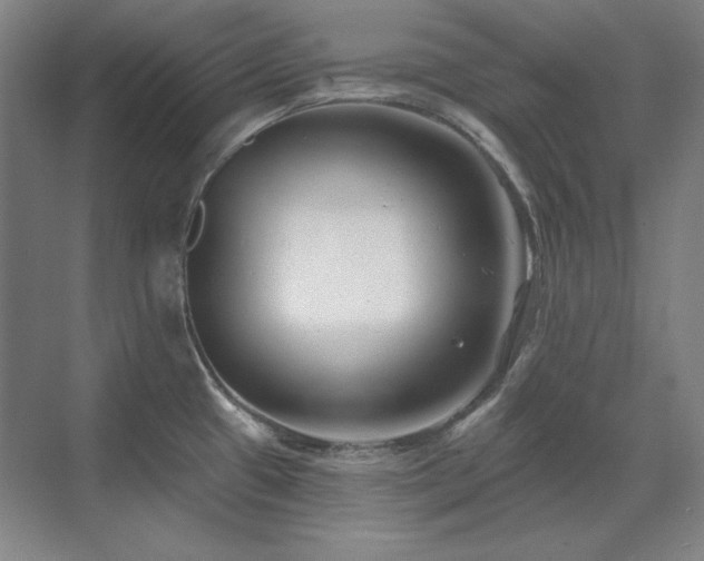 X0000071821433200606301241