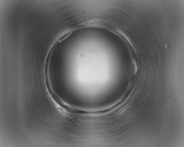X0000071821434200606301241