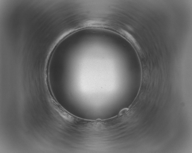 X0000071821435200606301241