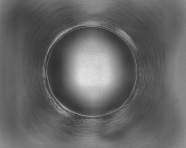 X0000071821436200606301241