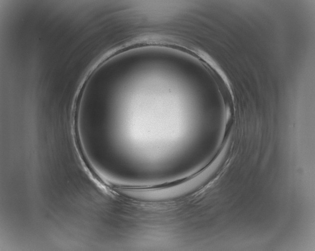 X0000071821437200606301241