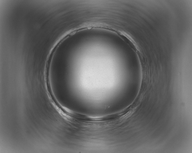X0000071821438200606301241