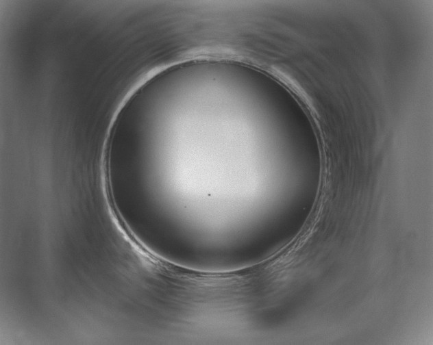 X0000071821440200606301241