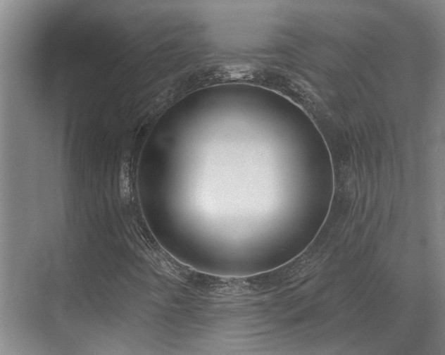 X0000071821442200606301240