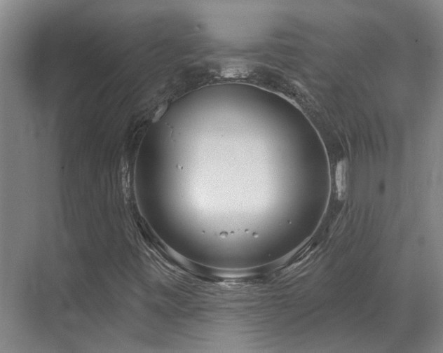 X0000071821443200606301240