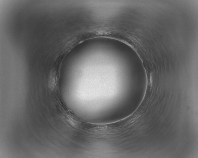 X0000071821444200606301240