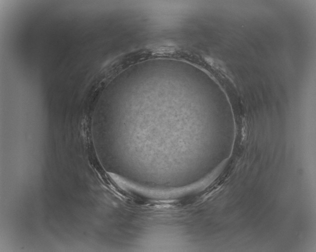 X0000071821445200606301240