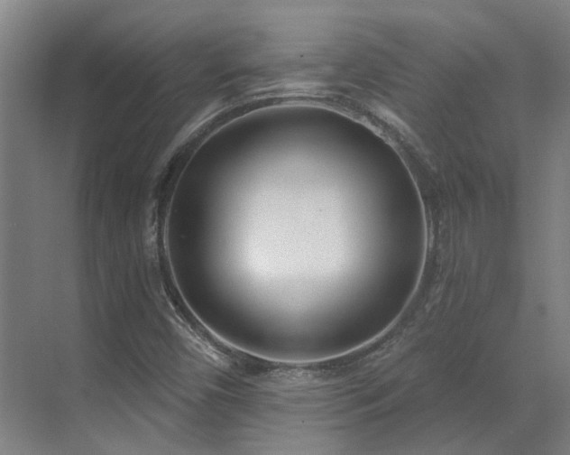 X0000071821450200606301240