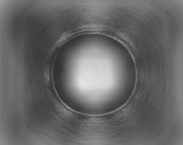 X0000071821451200606301240