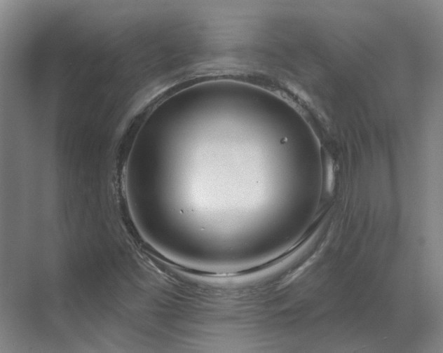 X0000071821453200606301240