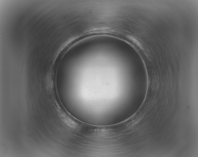X0000071821458200606301240