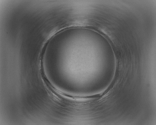 X0000071821459200606301240