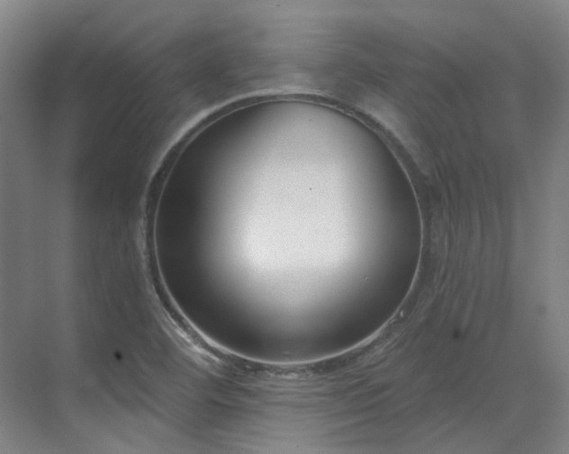 X0000071821460200606301240