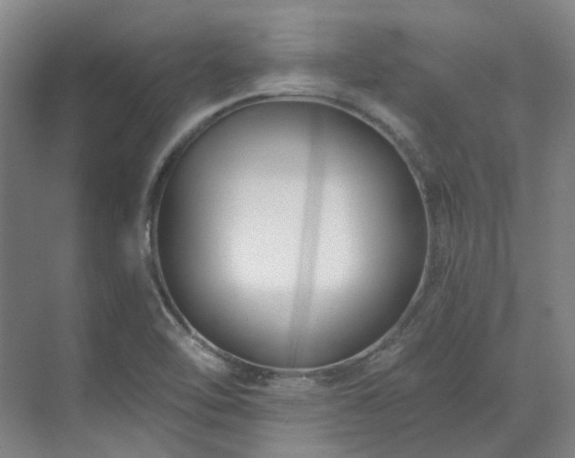 X0000071821462200606301240