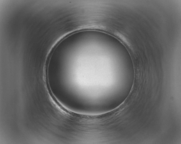 X0000071821468200606301240