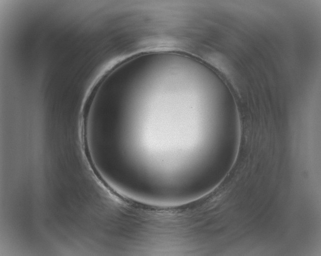 X0000071821472200606301240