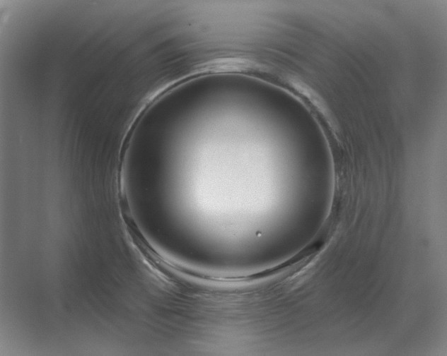 X0000071821473200606301240