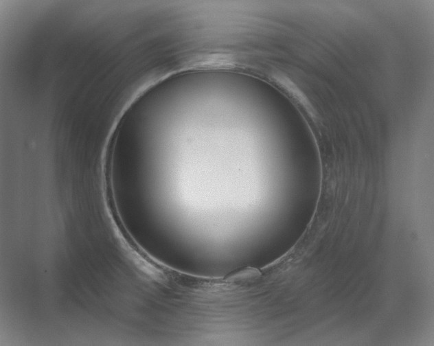 X0000071821475200606301240