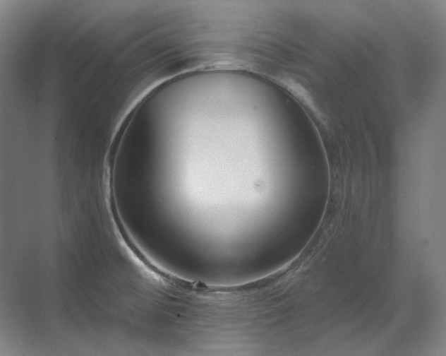 X0000071821476200606301240