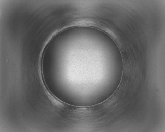 X0000071821478200606301240