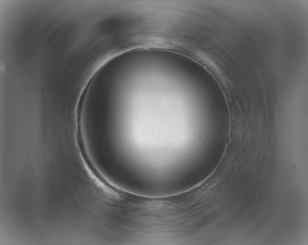 X0000071821479200606301240