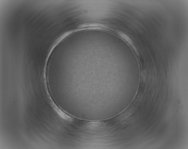 X0000071821482200606301240