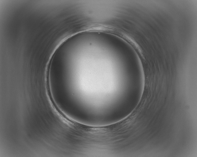 X0000071821483200606301240