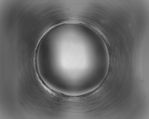 X0000071821484200606301240