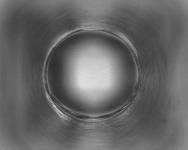 X0000071821485200606301240