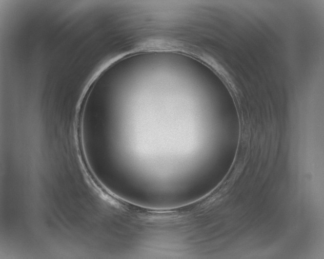 X0000071821486200606301240
