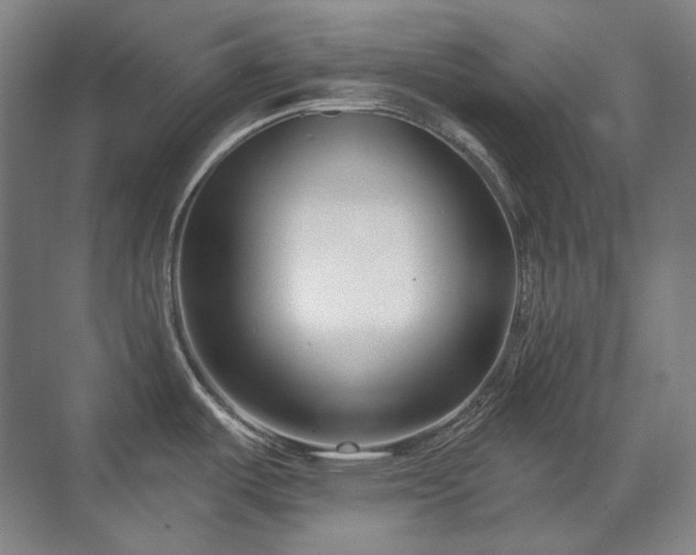 X0000071821487200606301240