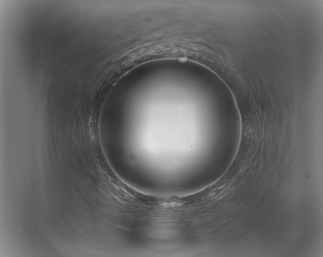 X0000071821490200606301239