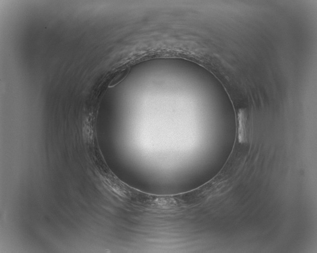 X0000071821491200606301239