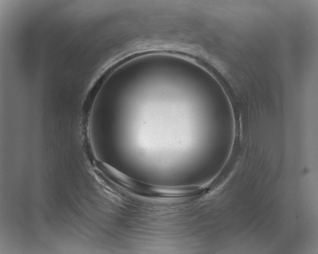 X0000071821501200606301239