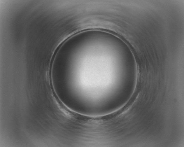 X0000071821513200606301239