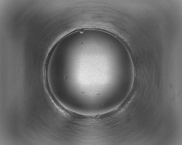 X0000071821517200606301239