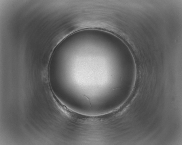 X0000071821521200606301239