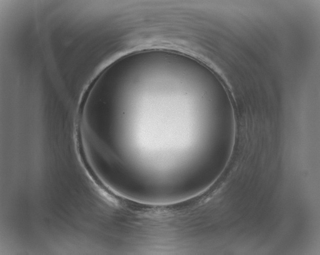 X0000071821525200606301239