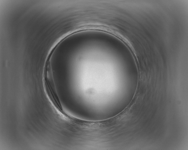 X0000071821533200606301240