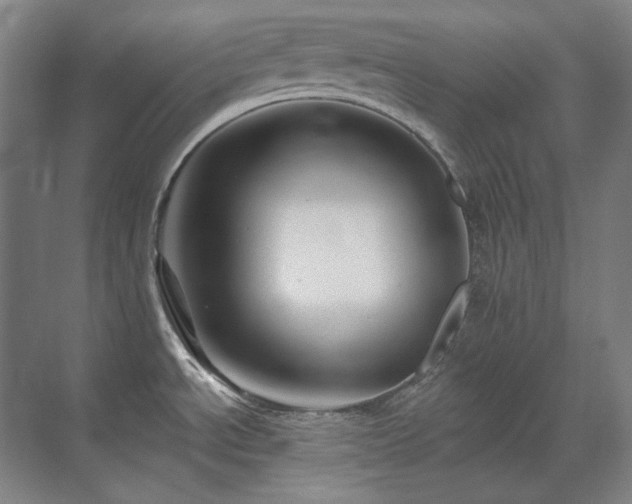 X0000071821534200606301240